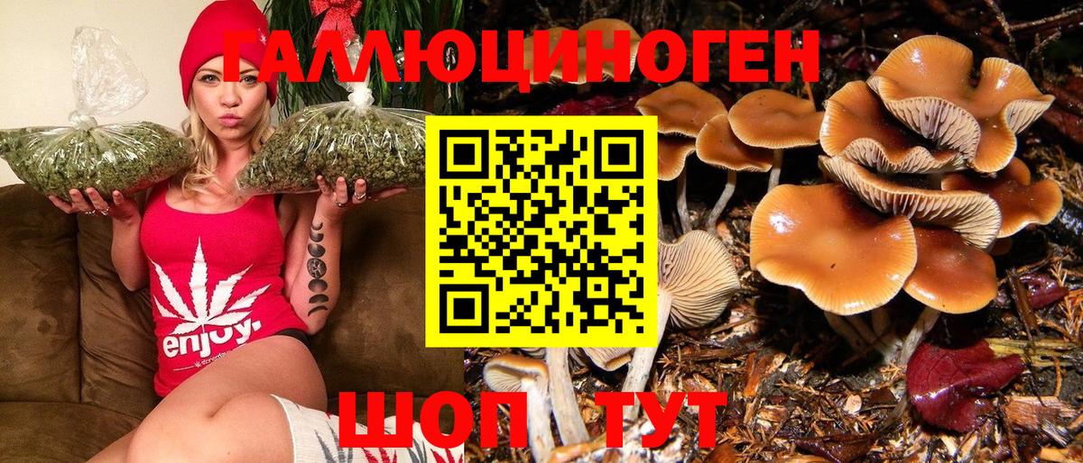 Псилоцибиновые грибы мухоморы Кольчугино